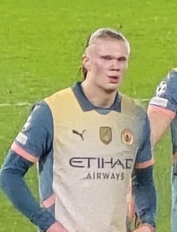 Erling Haaland official career goals tracker